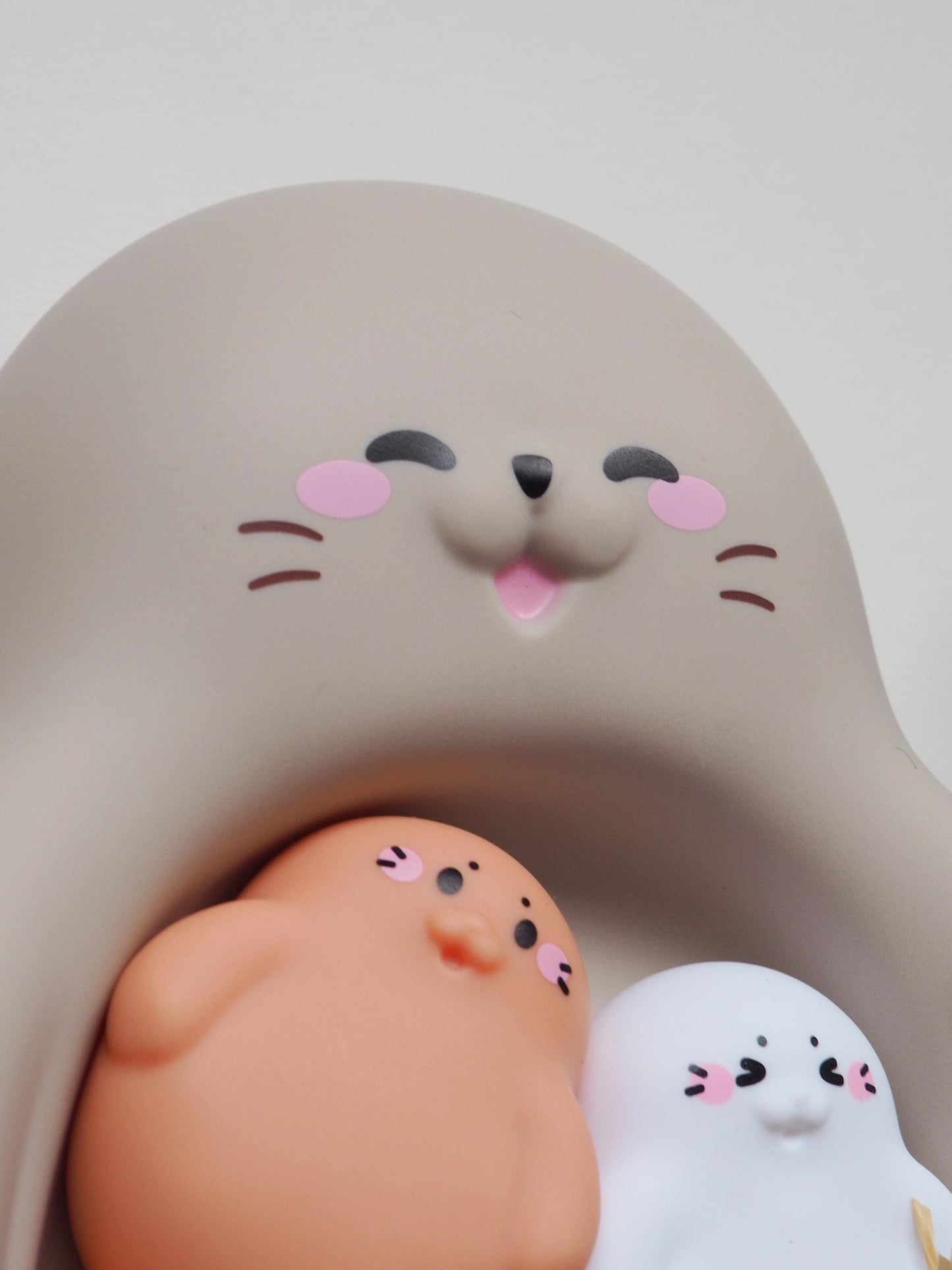 Seal Bath toy personalized wrapping